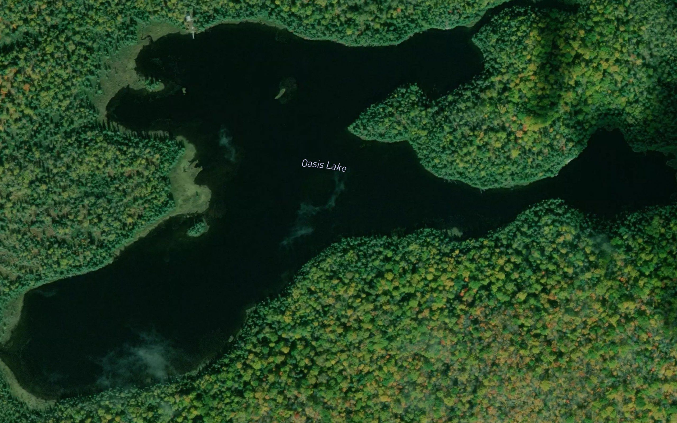 Oasis Lake