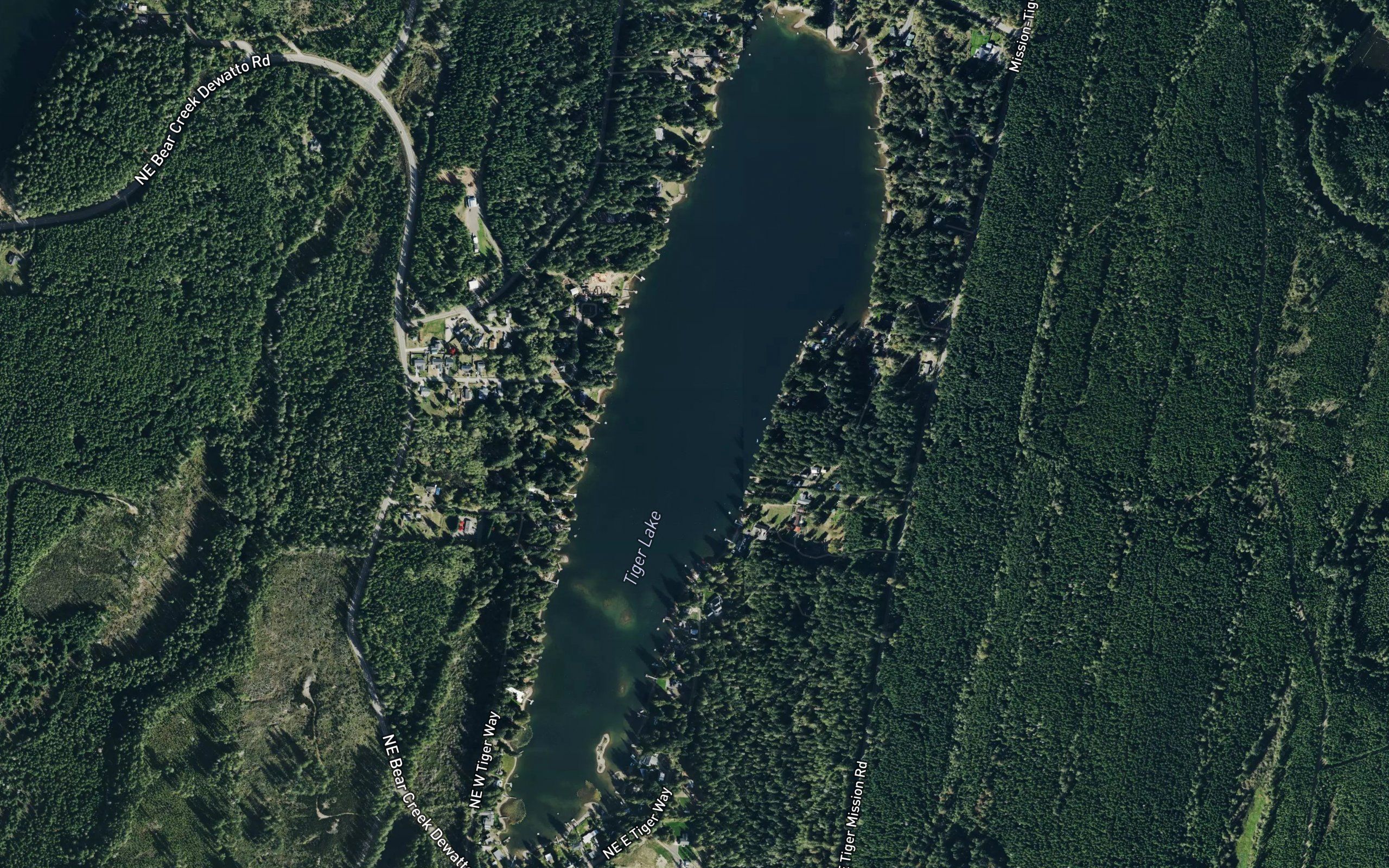 Tiger Lake