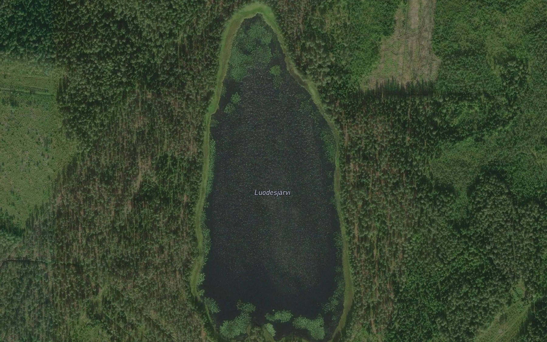 Satellite map of the Luodesjarvi