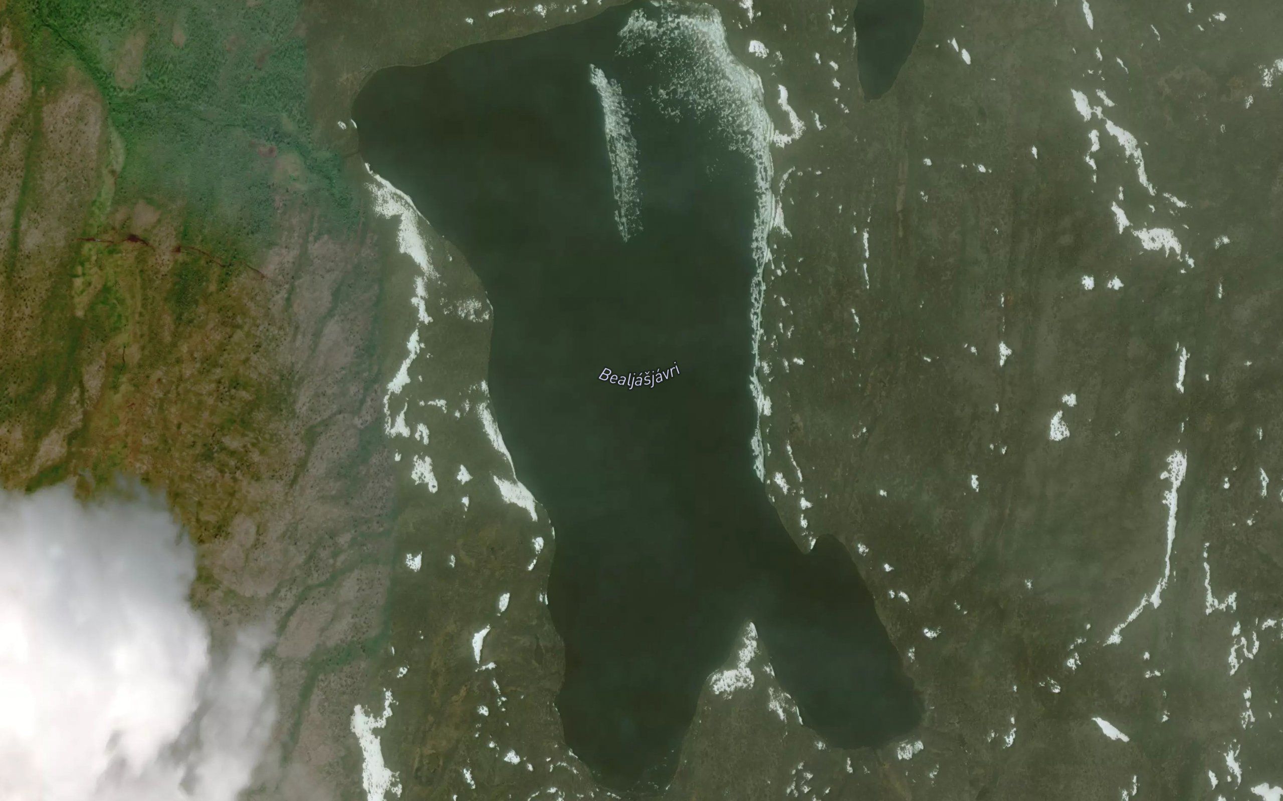 Bealjasjavri
