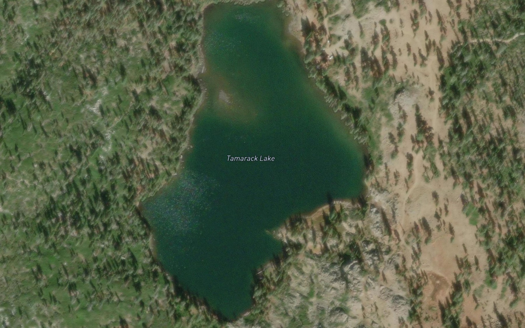 Satellite map of the Tamarack Lake