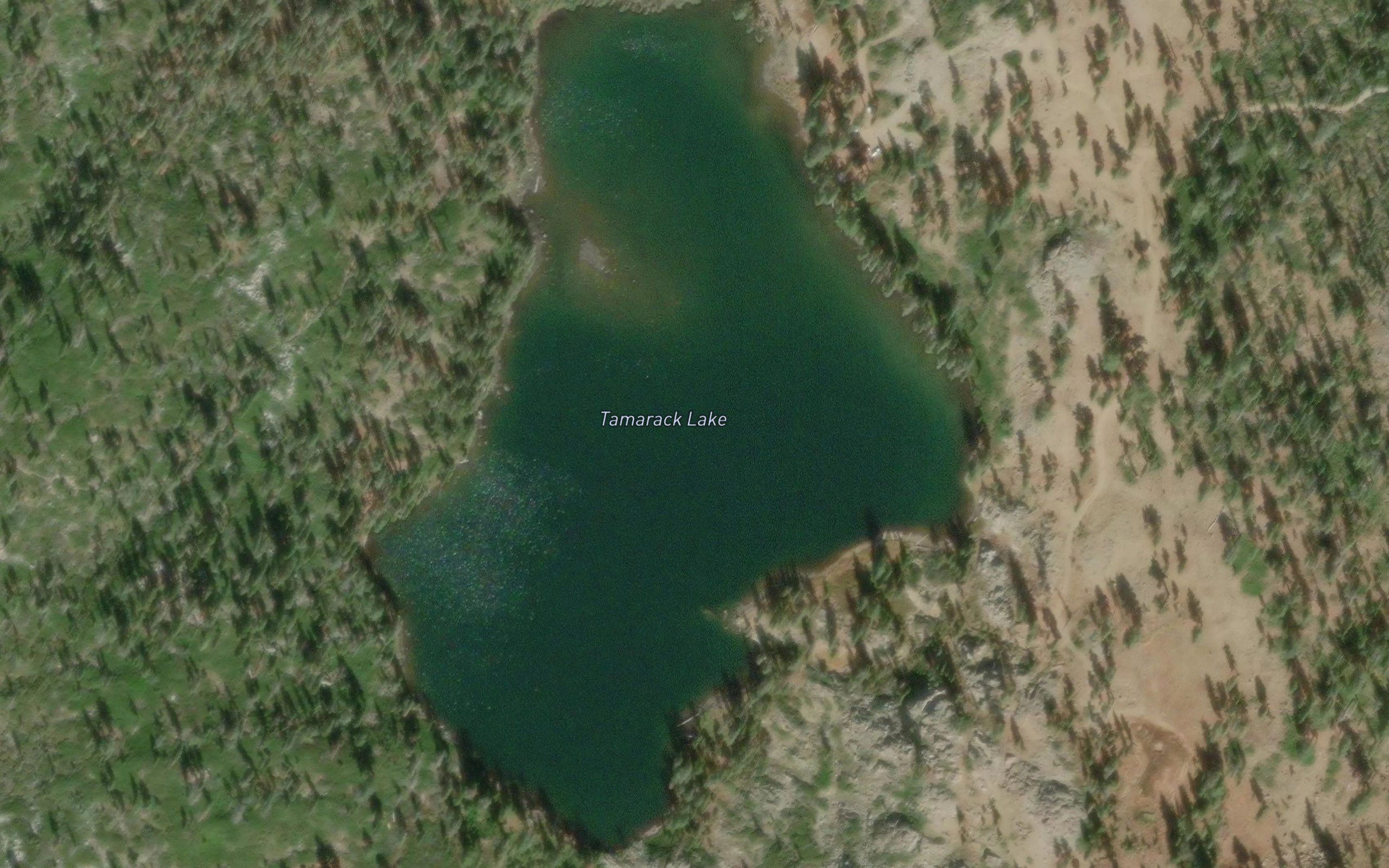 Tamarack Lake