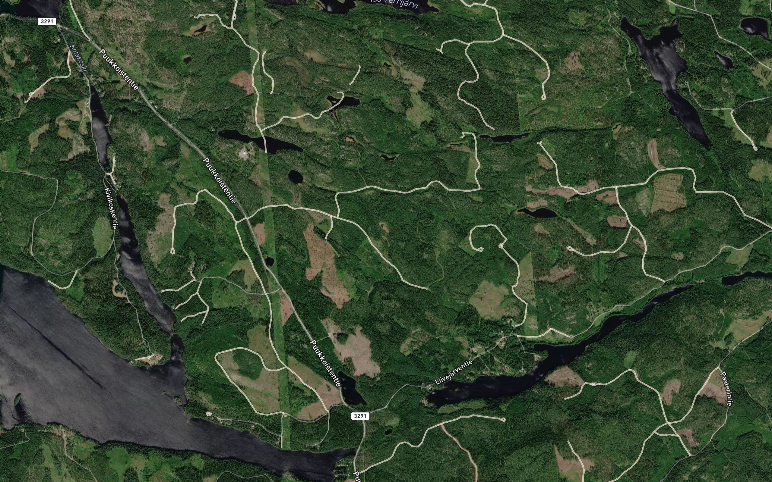 Heinalammit