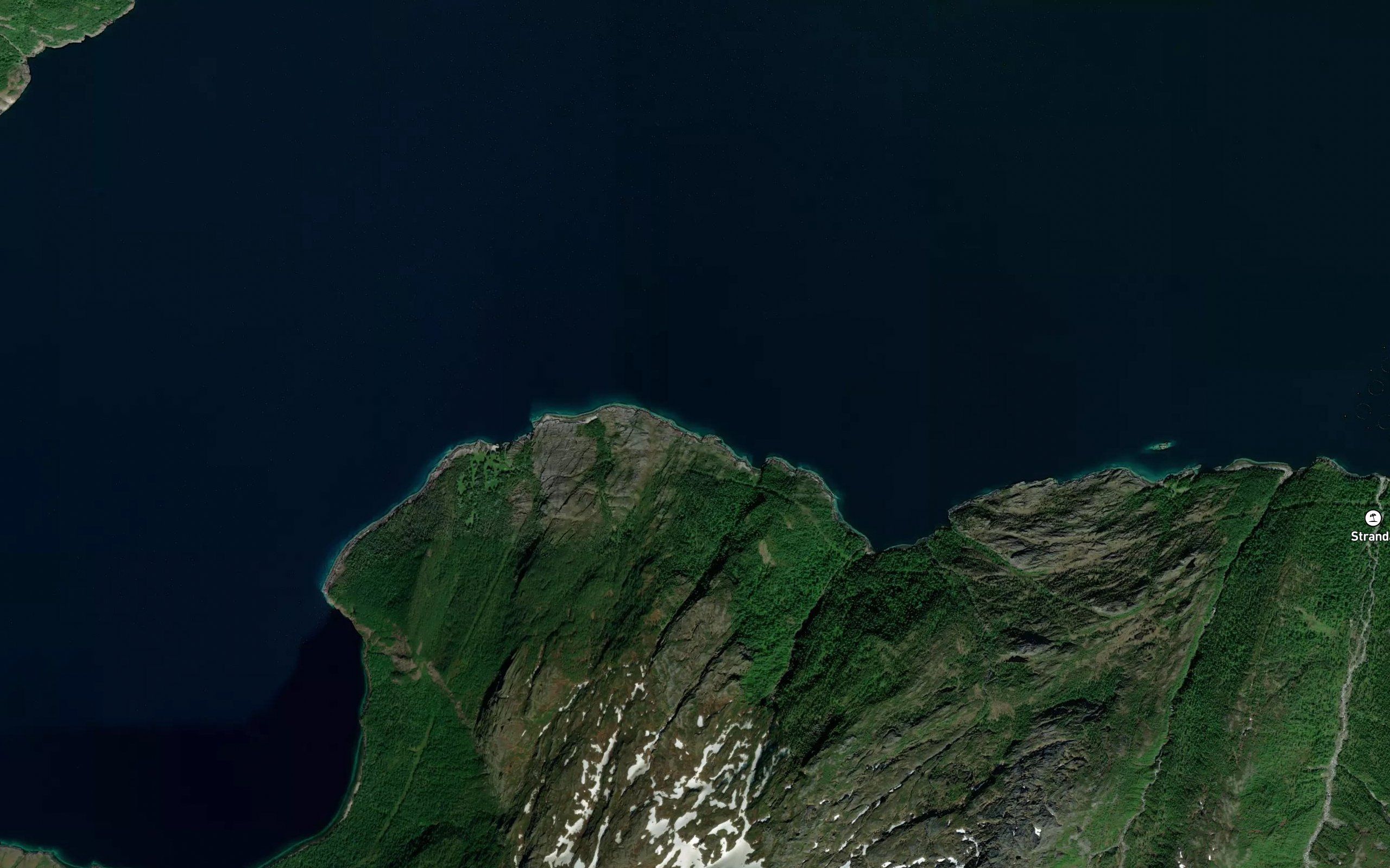Grindvika