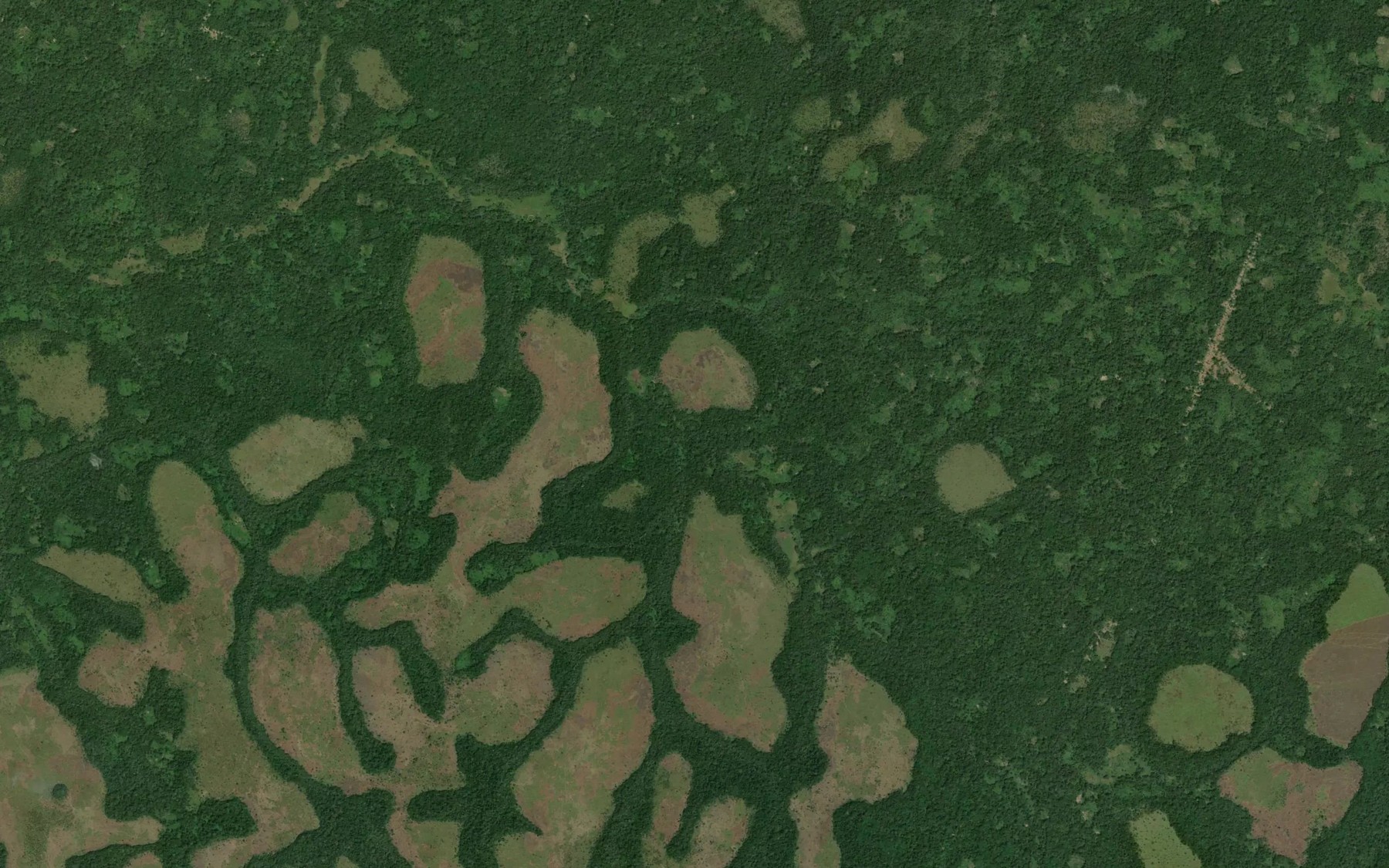 Satellite map of the Alobili
