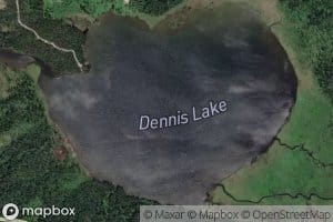 Dennis Lake