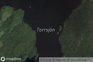 Torrsjoen