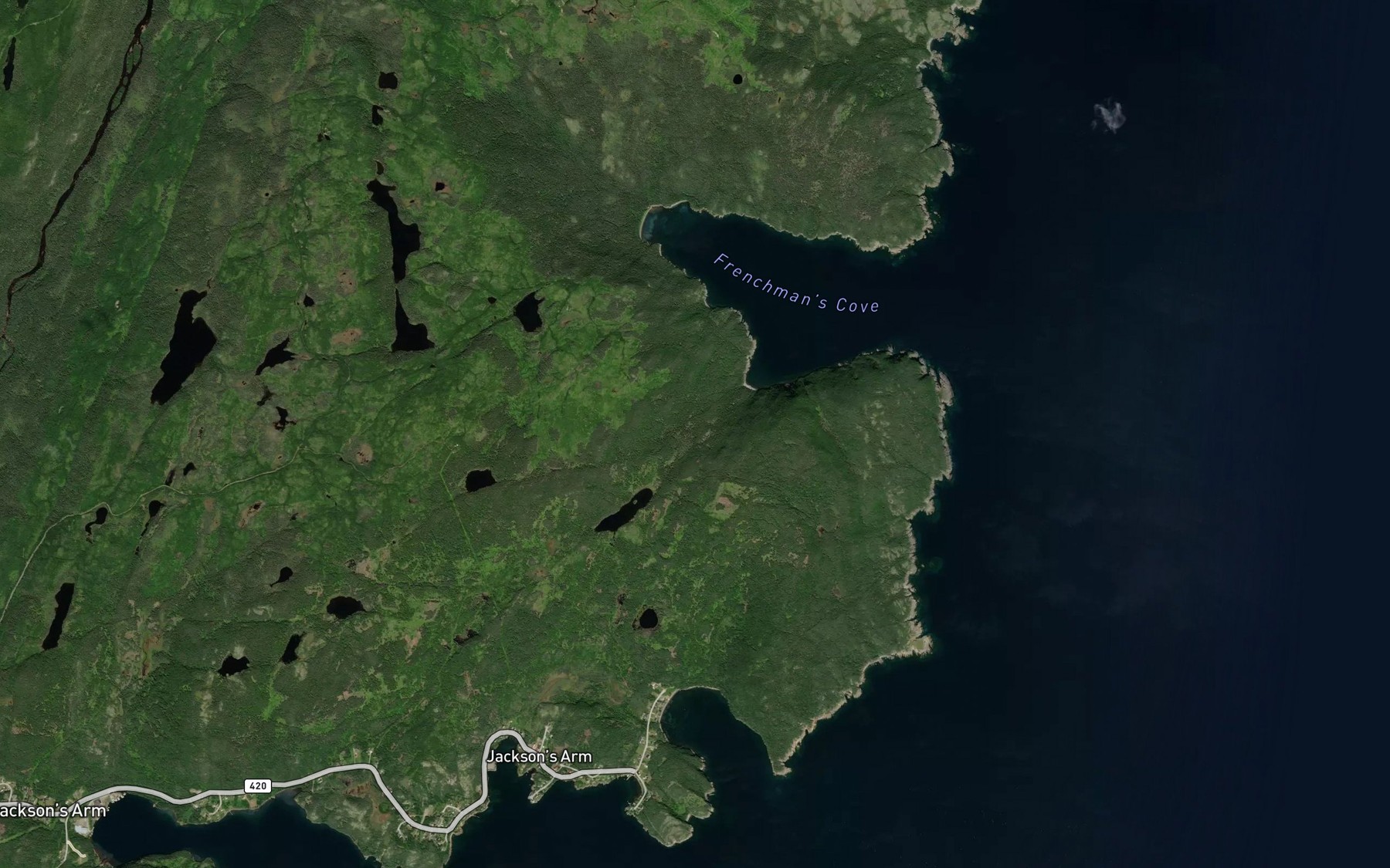 Satellite map of the Camp Cove
