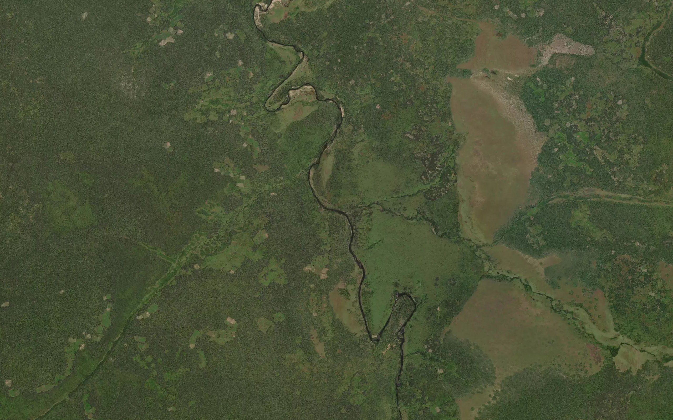 Mamukola