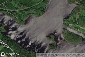 Koivujarvi