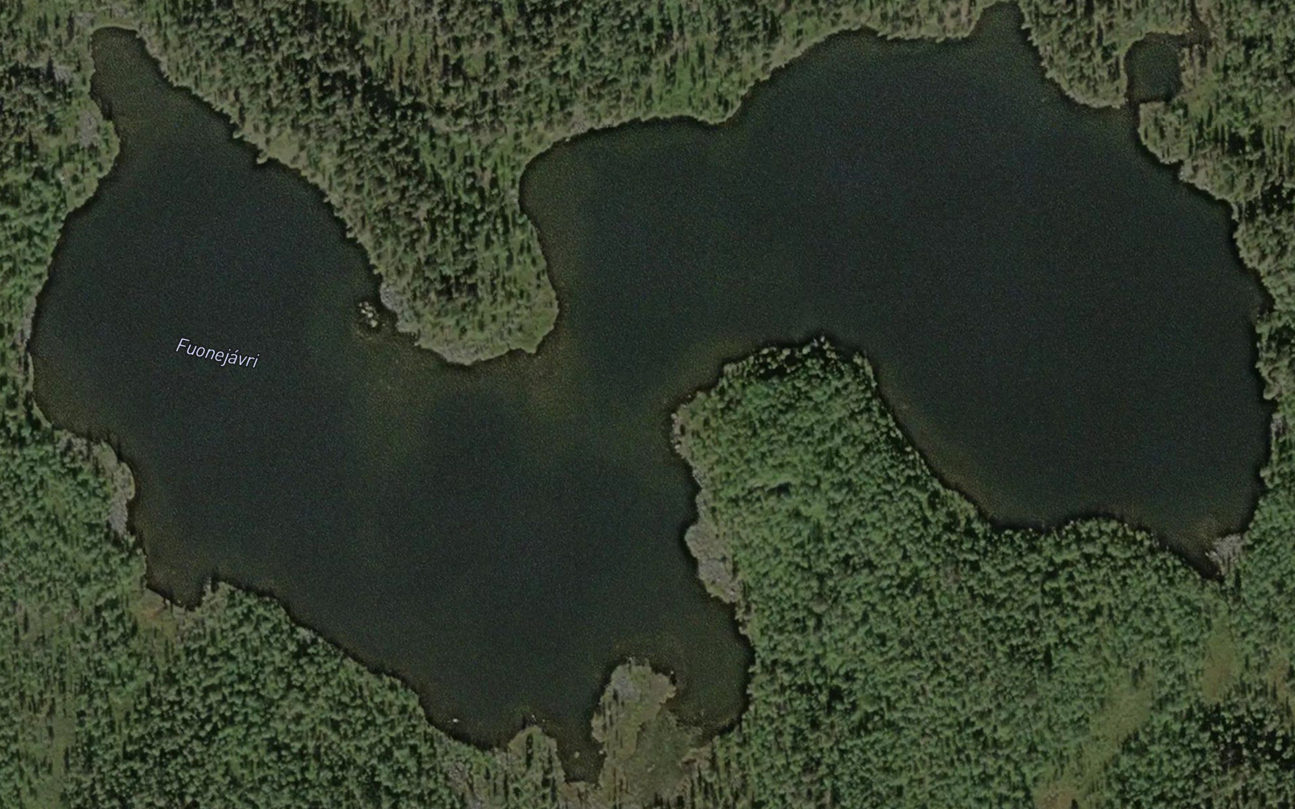 Fuonejavri