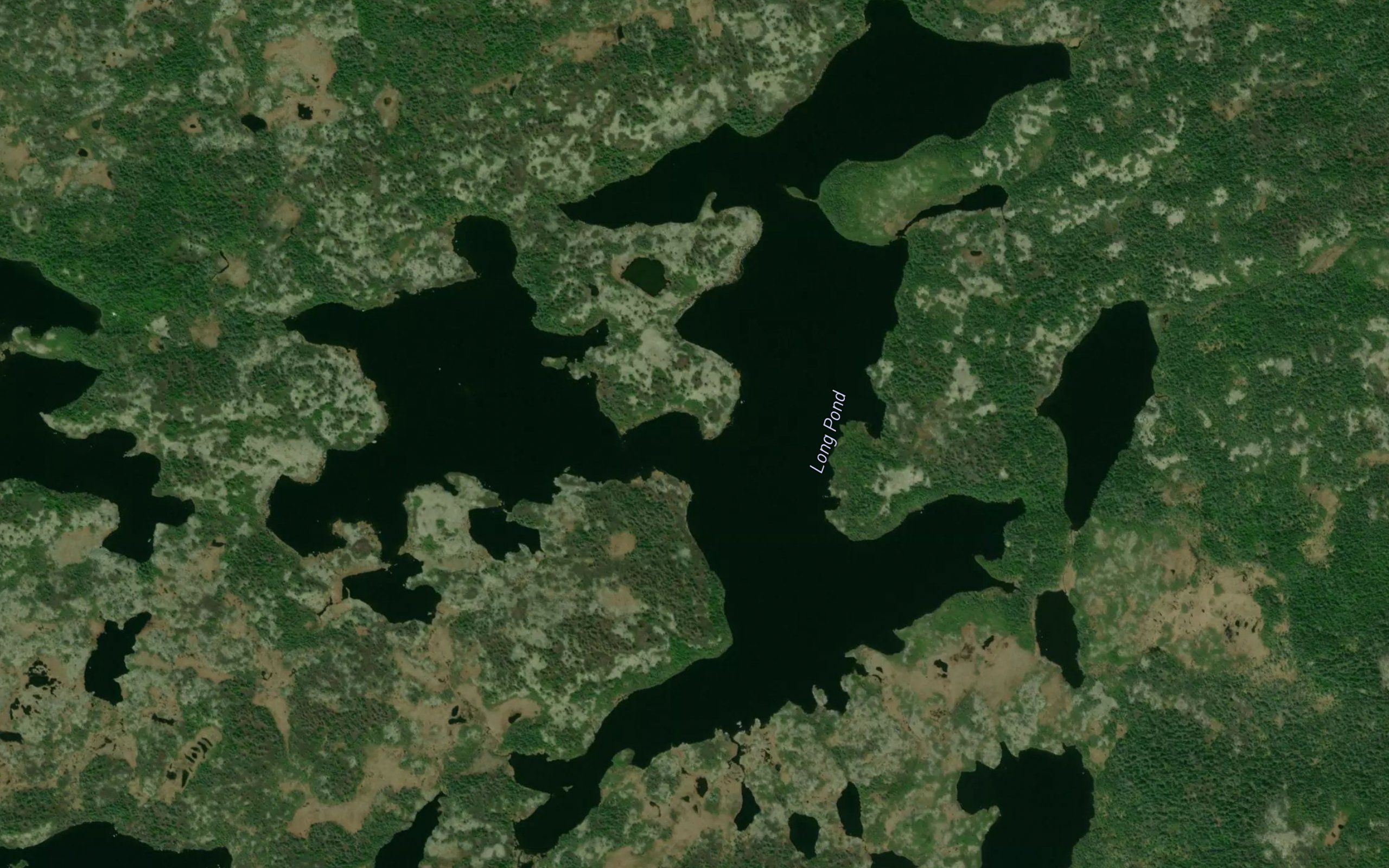 Long Pond