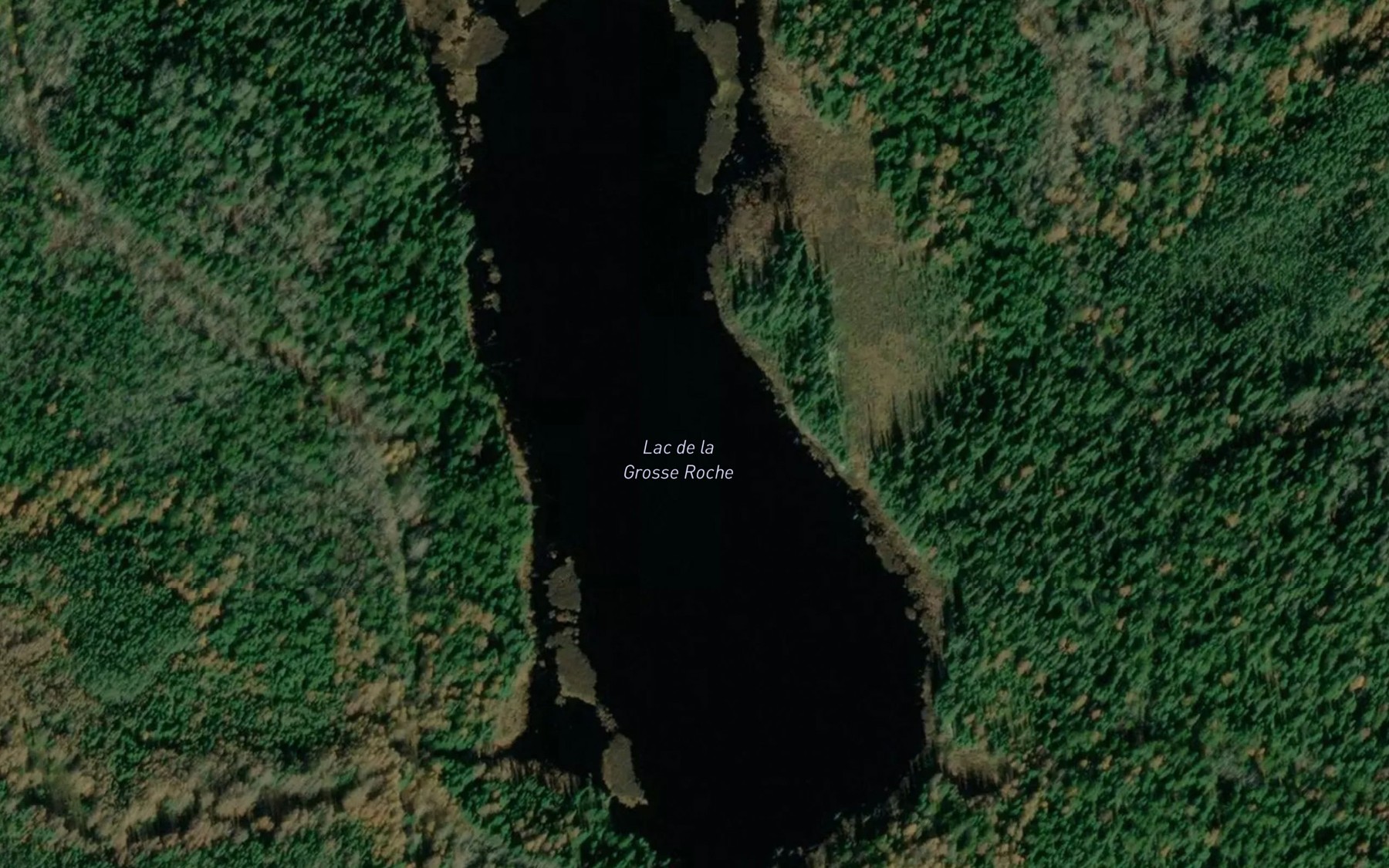 Satellite map of the Lac de la Grosse Roche
