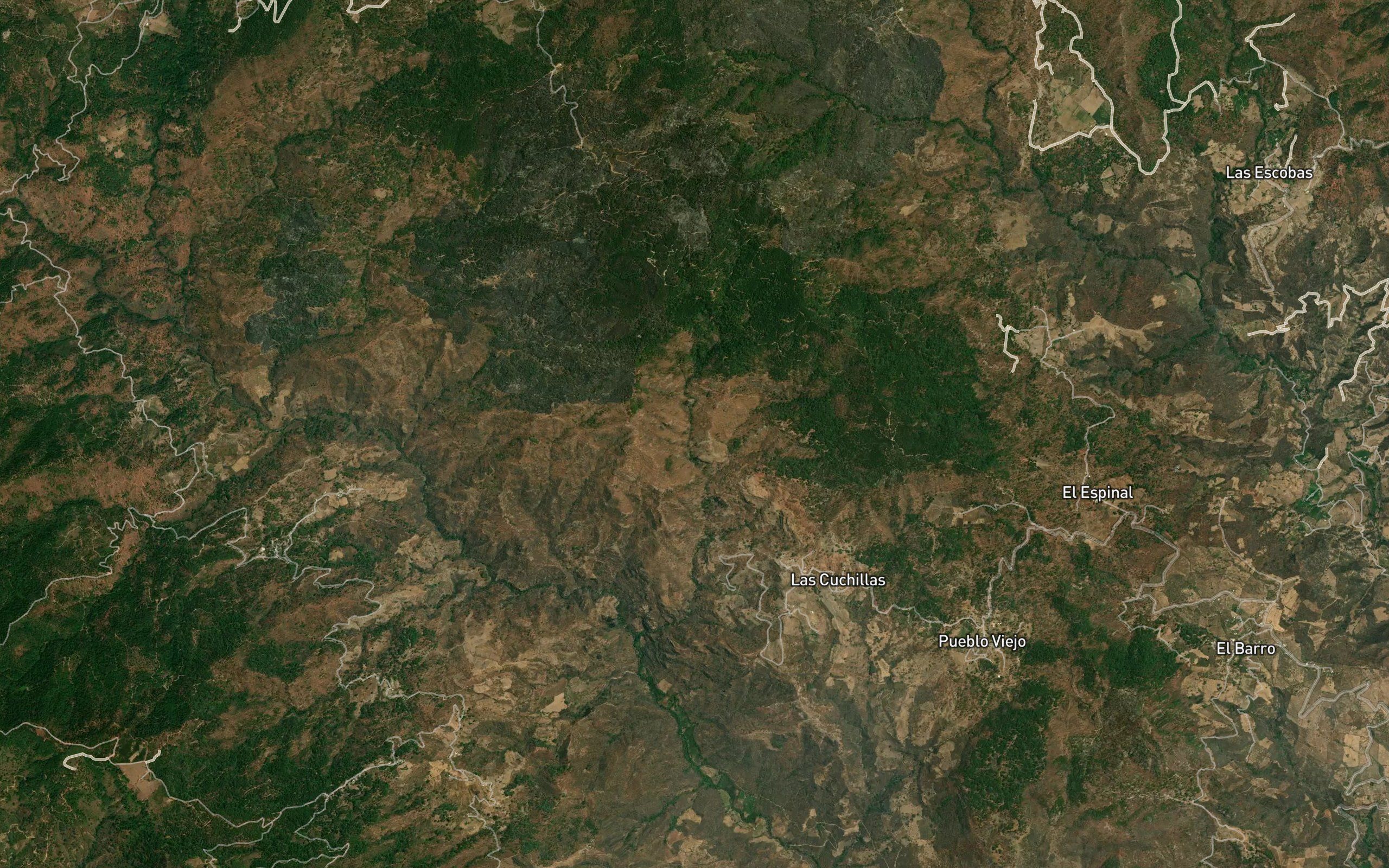 Barranca El Pino Solo