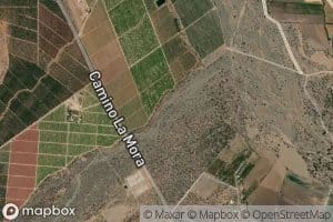 Estero de La Patagua