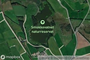 Smokkevatnet