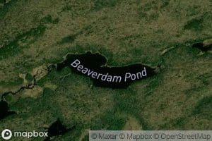 Beaverdam Pond