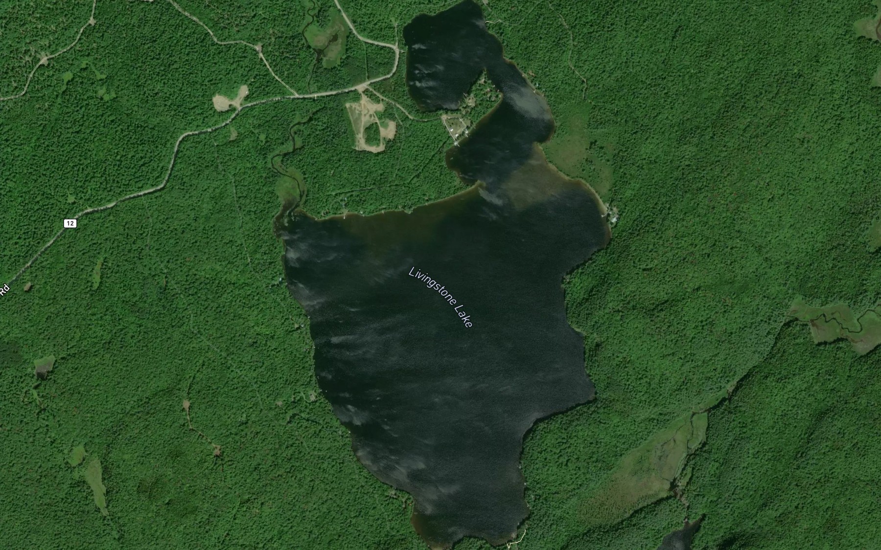 Satellite map of the Livingstone Lake