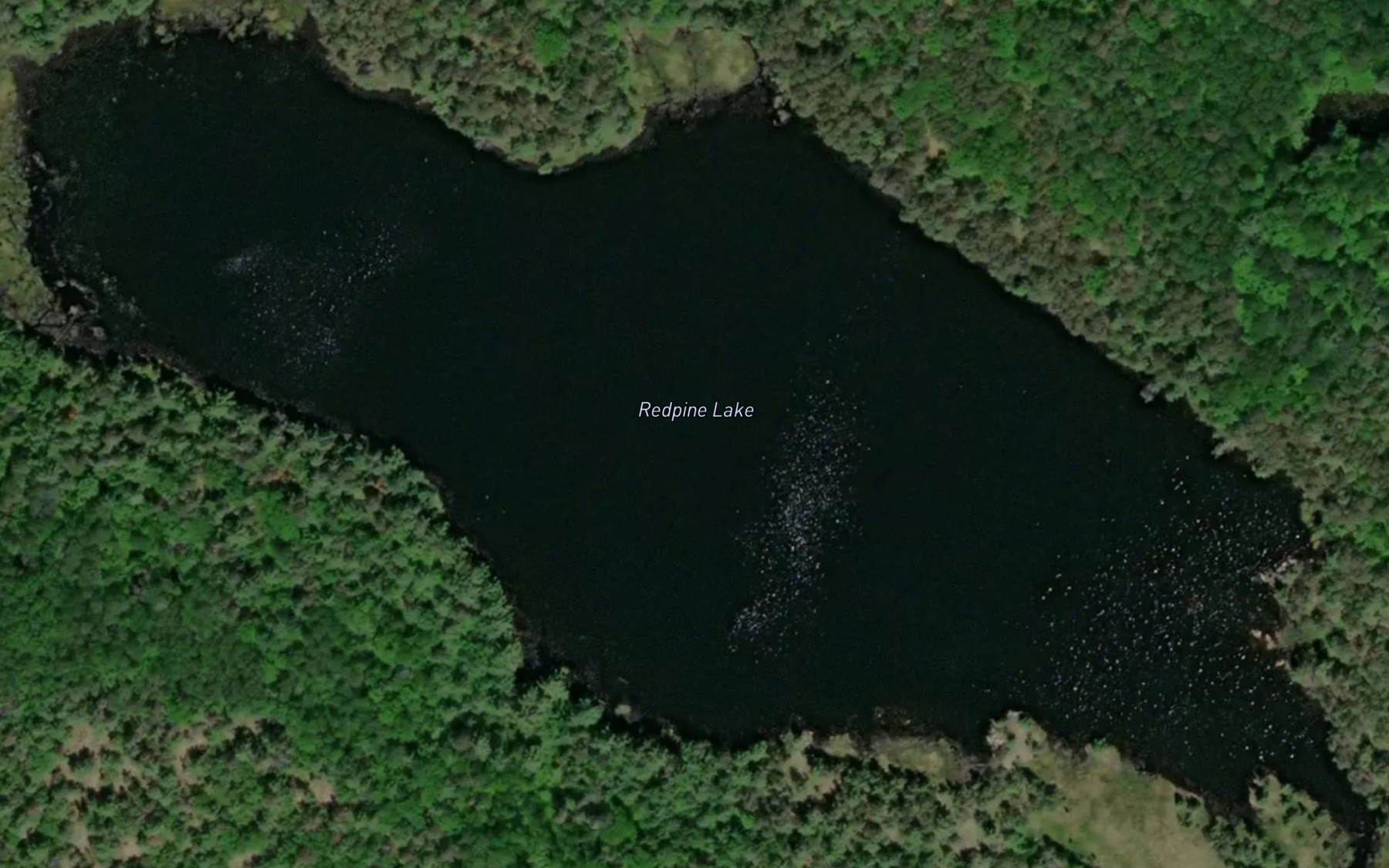 Satellite map of the Redpine Lake
