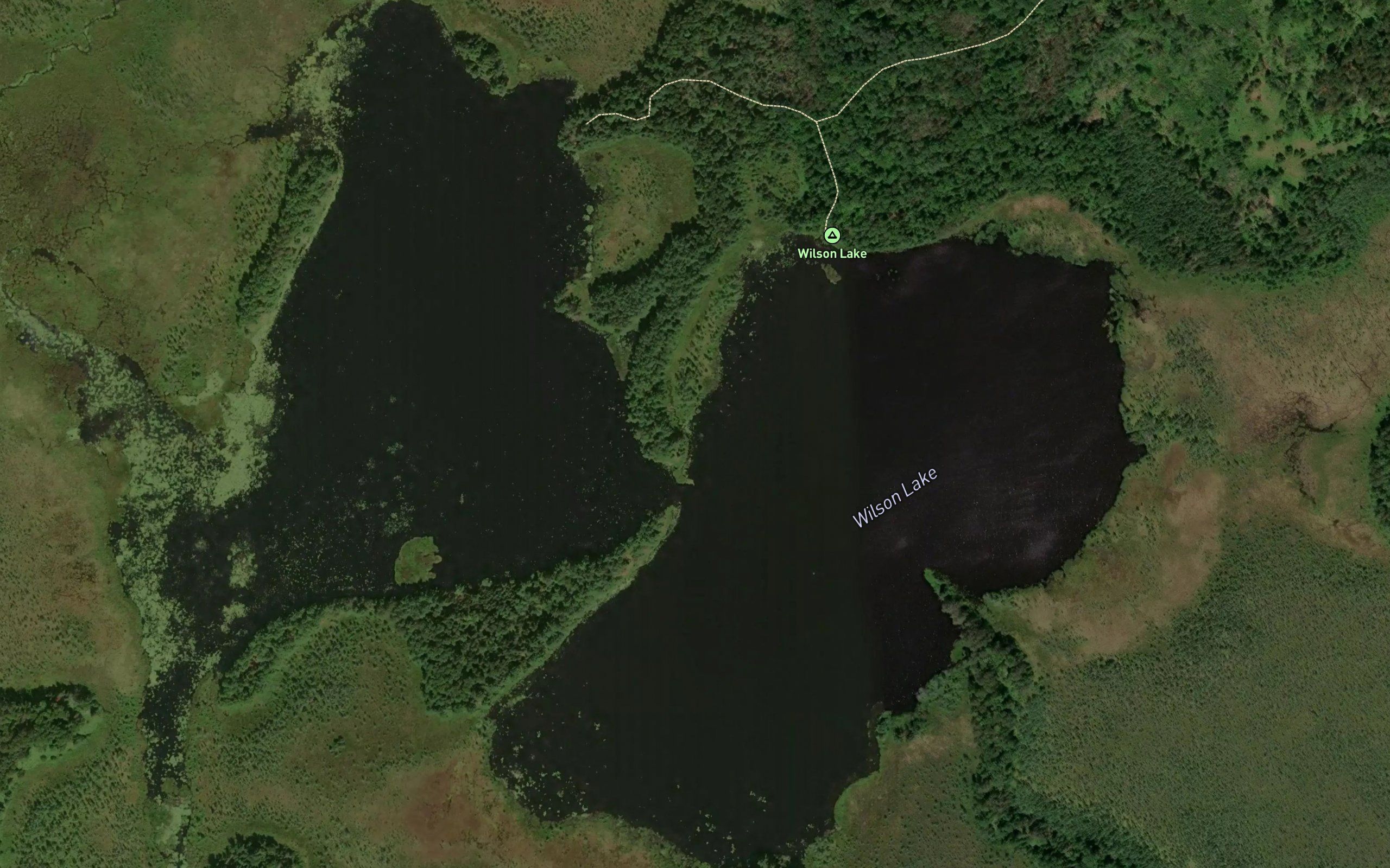 Wilson Lake