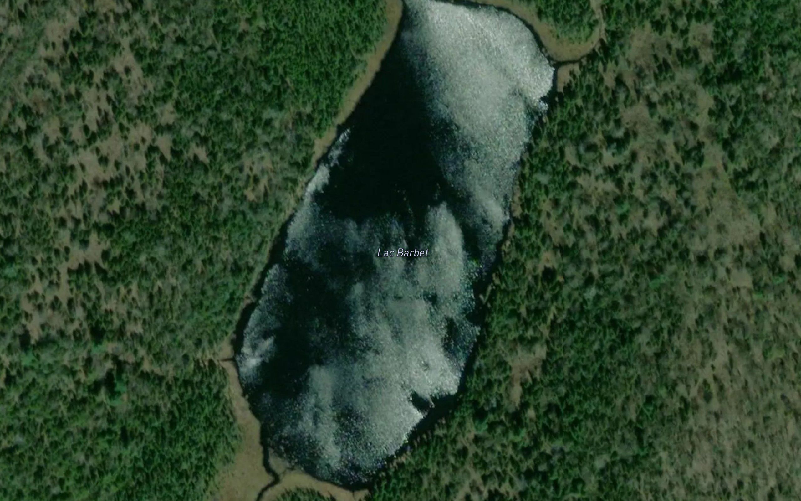 Lac Barbet