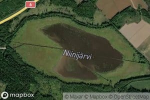 Niinijarvi