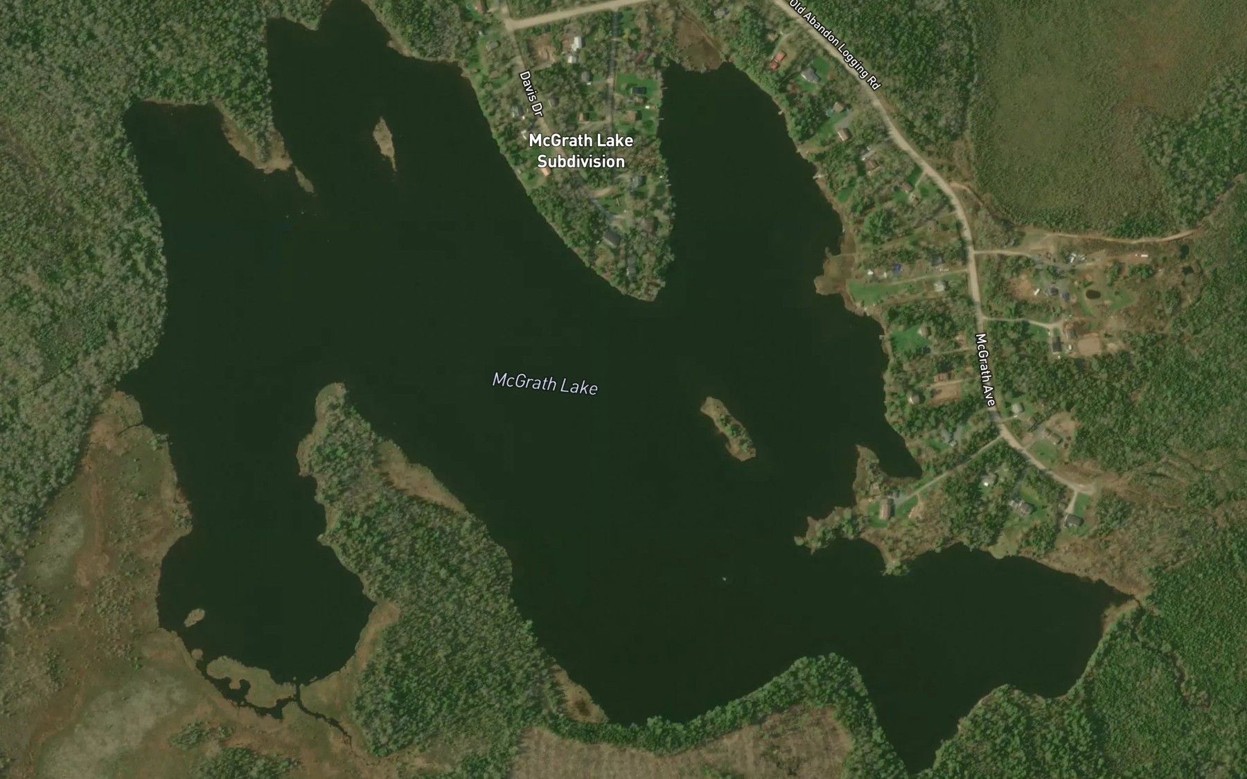 Satellite map of the McGrath Lake