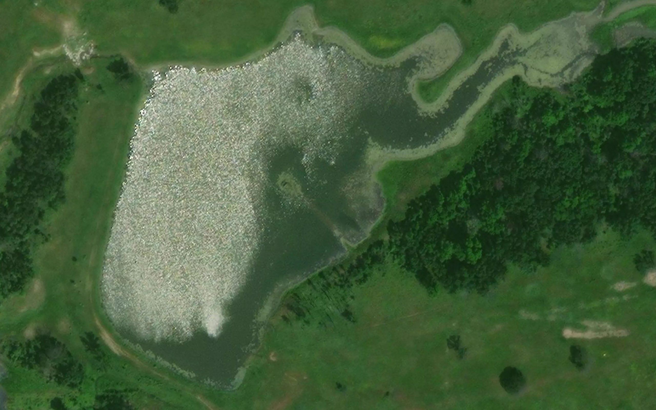 Oknoname 145001 Reservoir