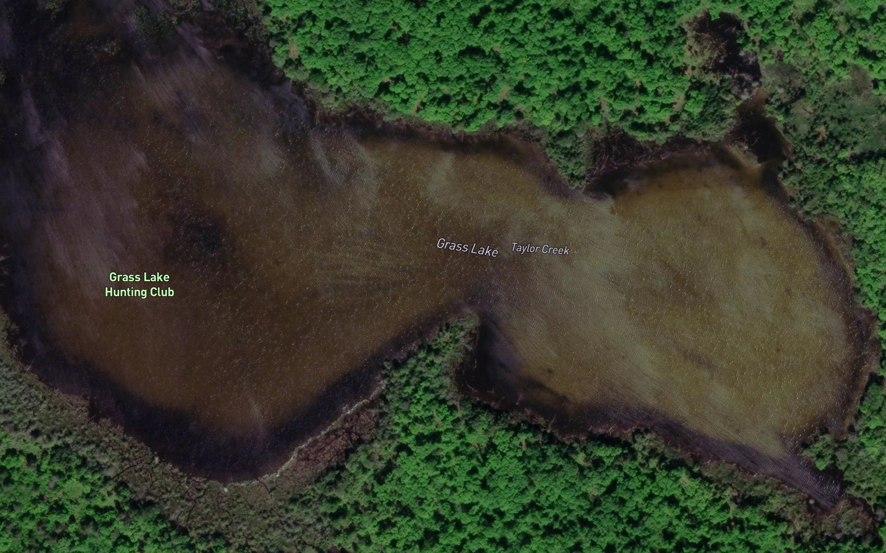 Satellite map of the Grass Lake