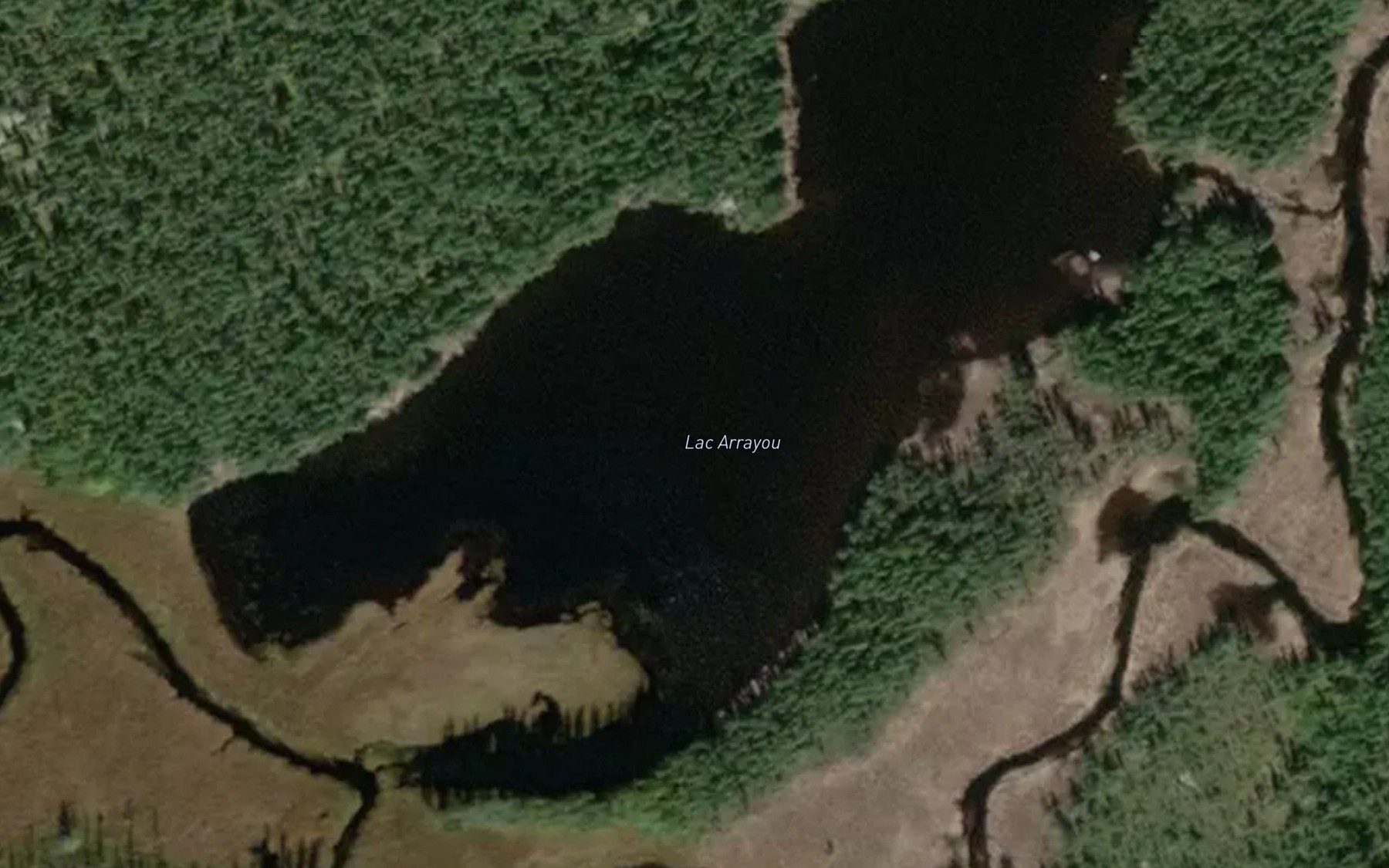 Satellite map of the Lac Arrayou