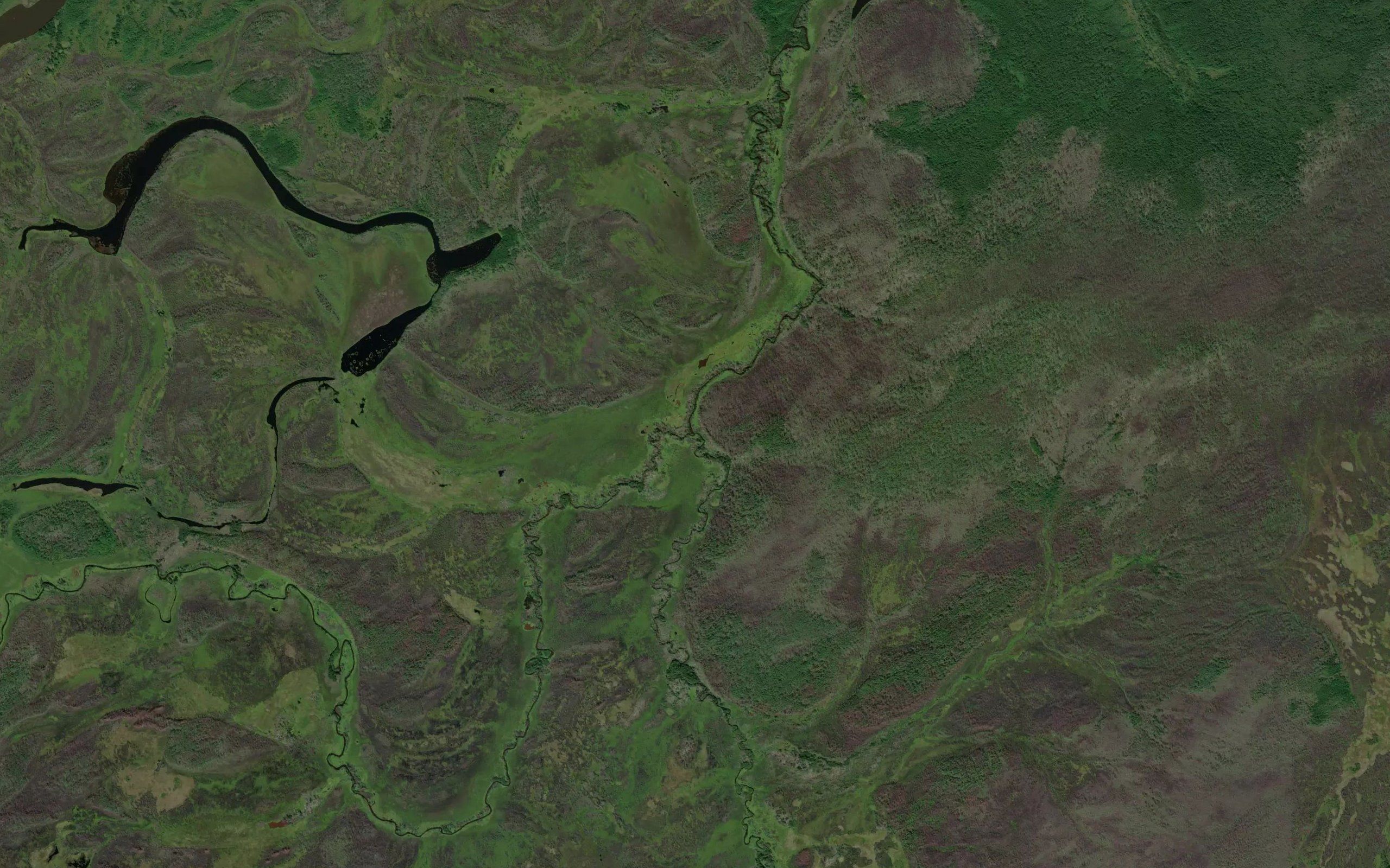 Srednyaya Ulya