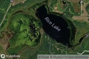 Rice Lake
