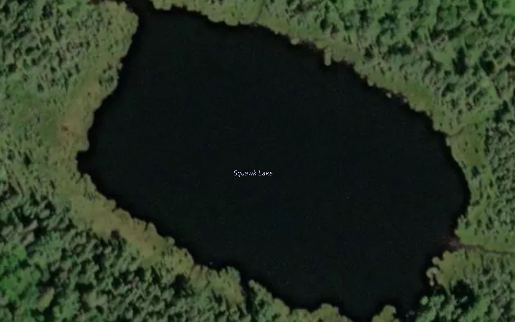 Satellite map of the Squawk Lake
