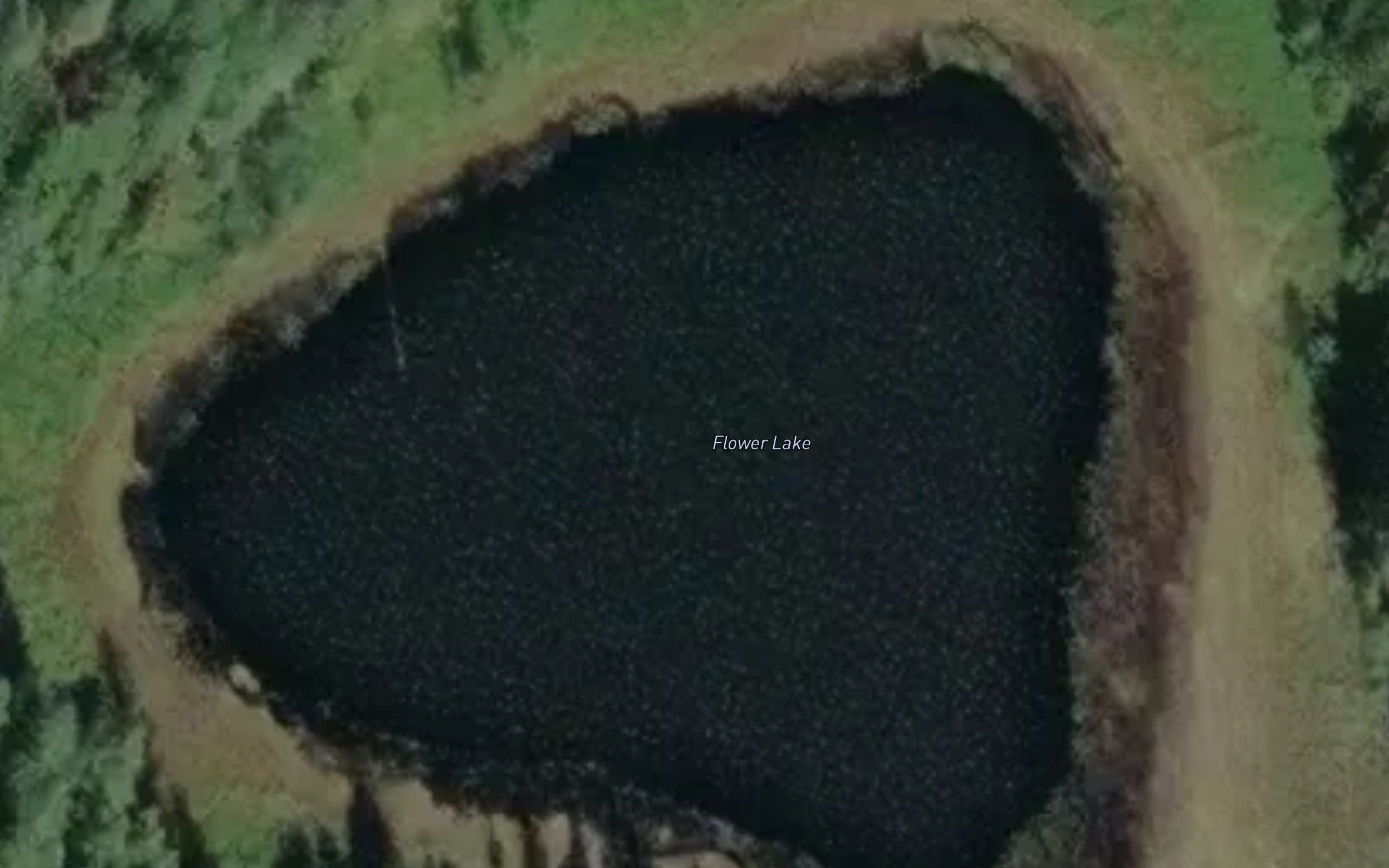 Flower Lake