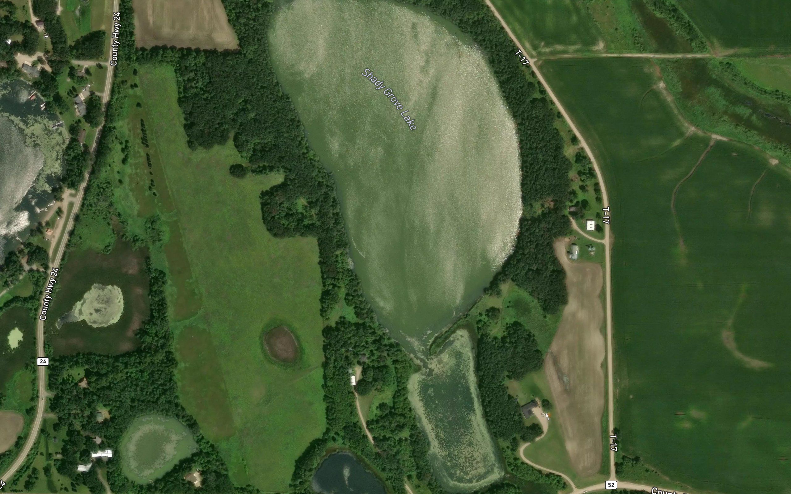 Shady Grove Lake