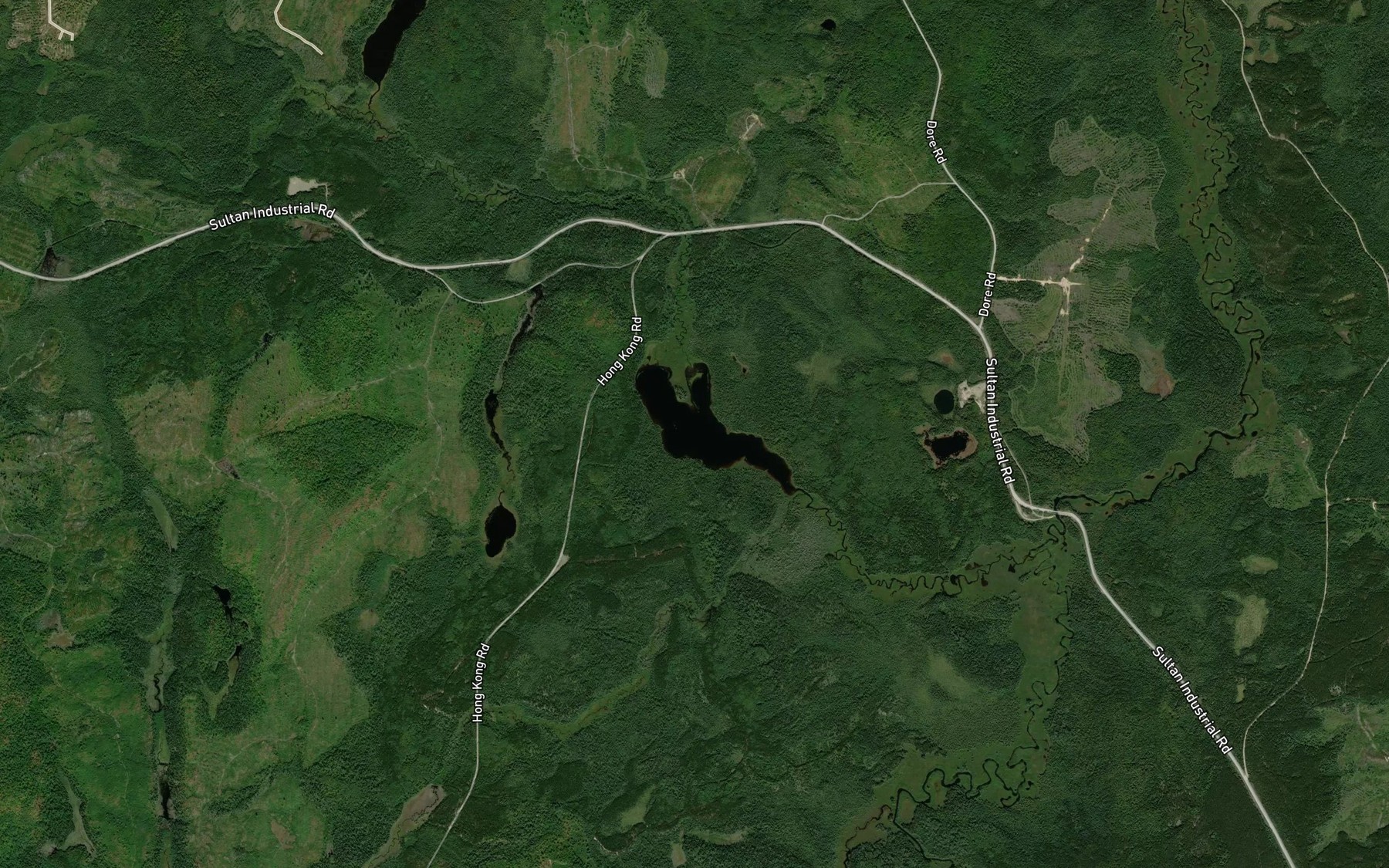 Satellite map of the Angus Lake