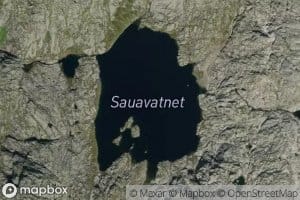 Sauavatnet