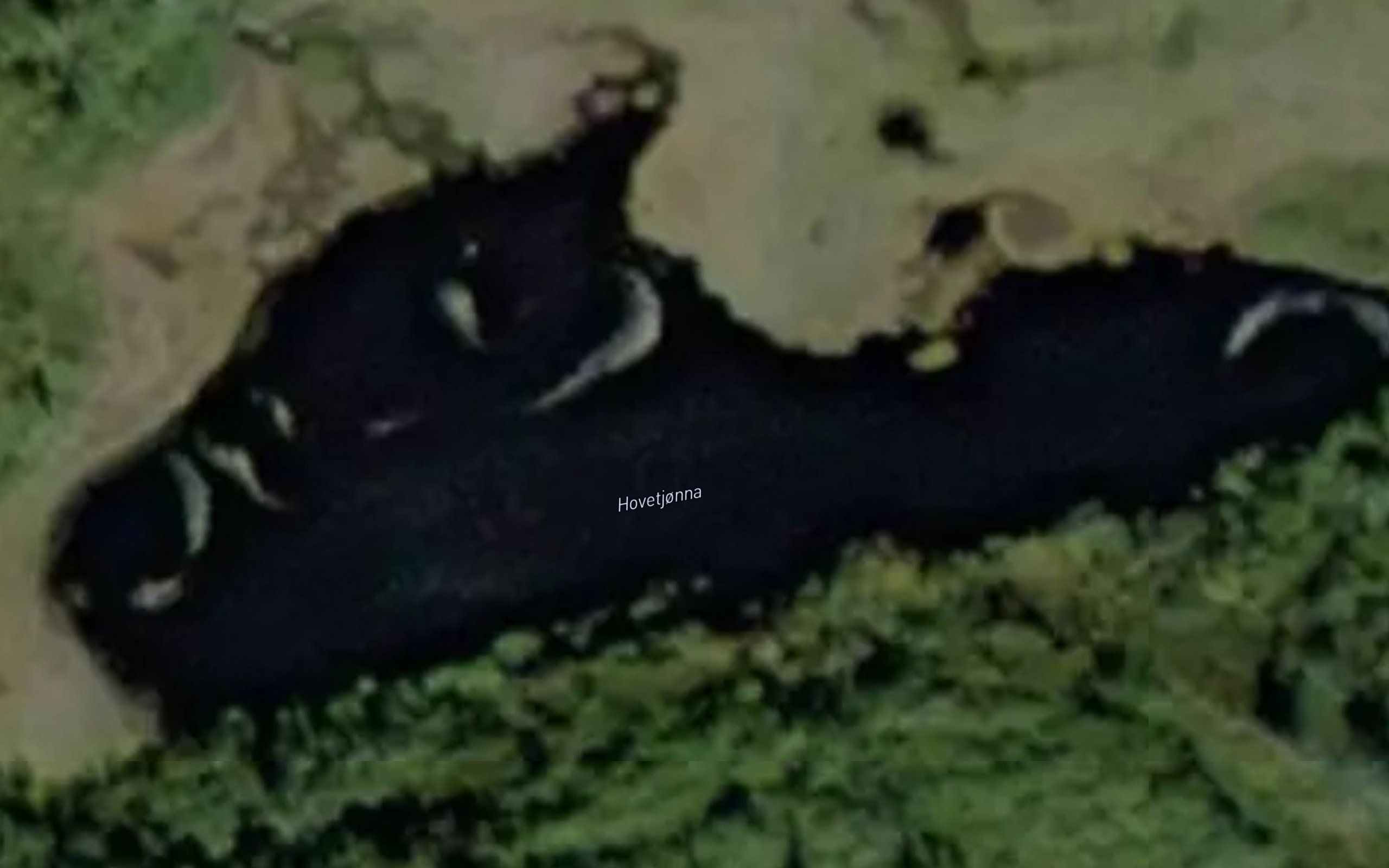 Hovetjonna