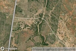 Oatman Creek