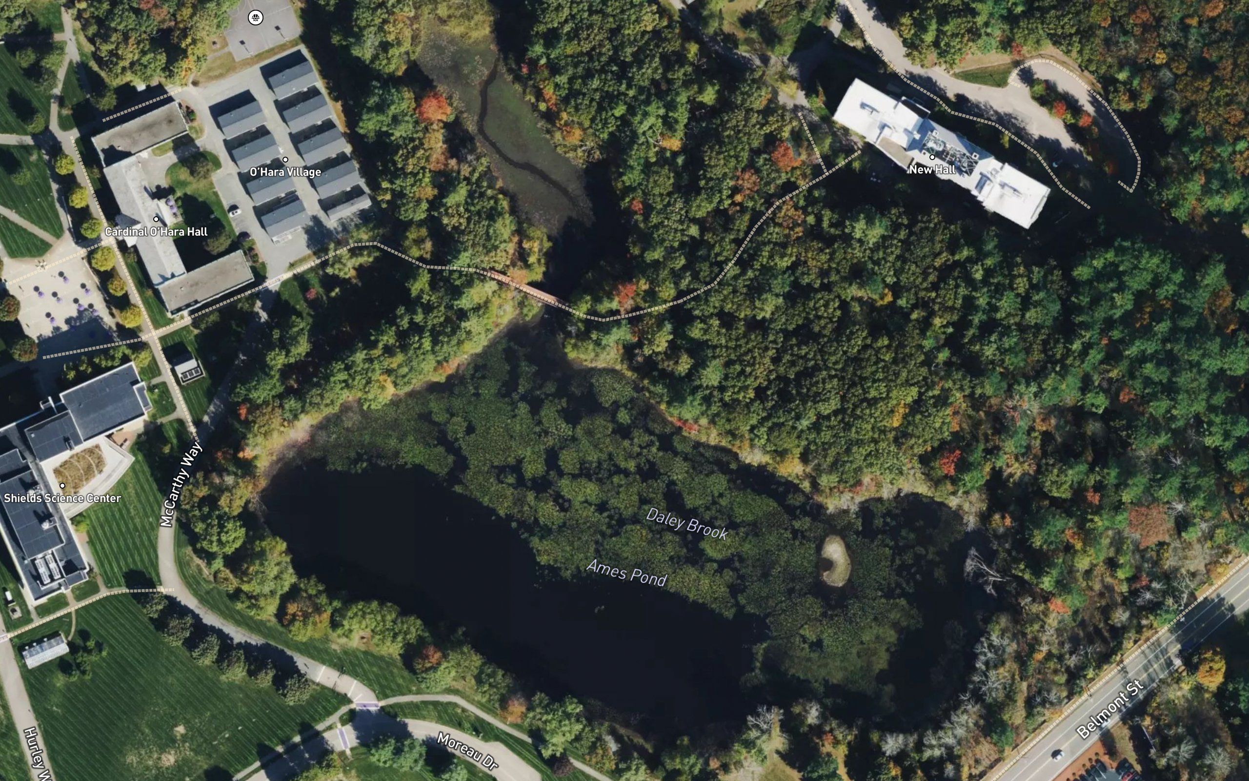 Ames Pond