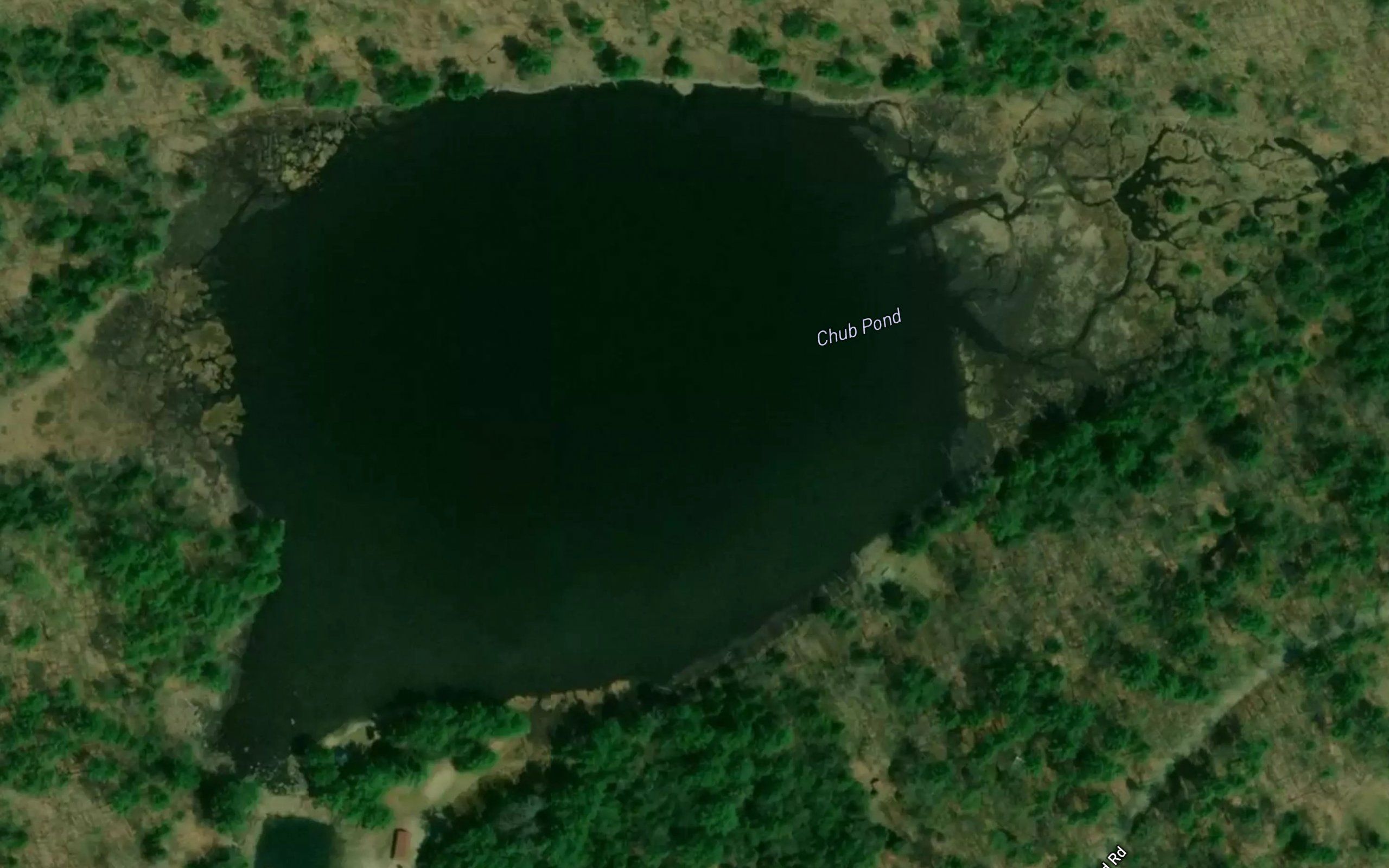 Chub Pond