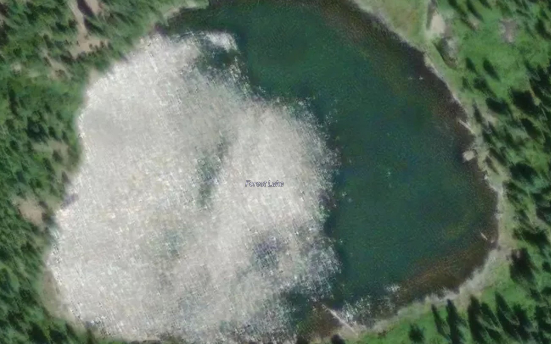 Satellite map of the Forest Lake