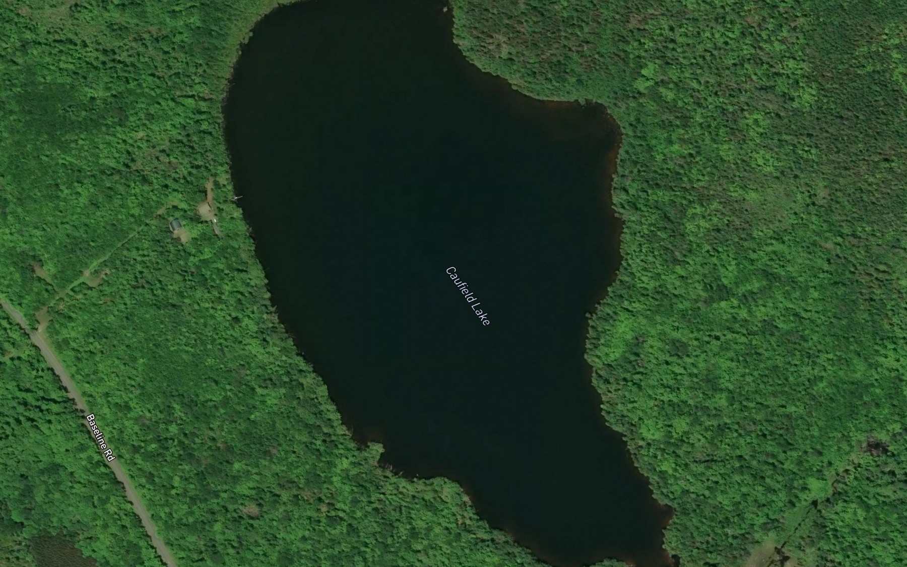 Satellite map of the Caufield Lake