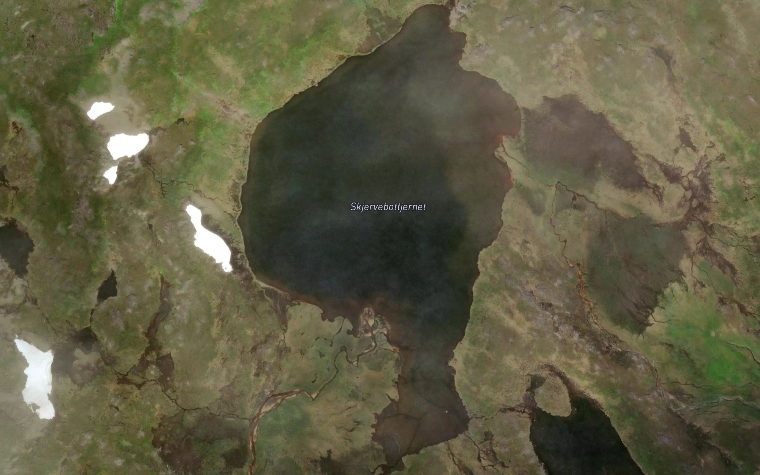 Skjervebottjernet