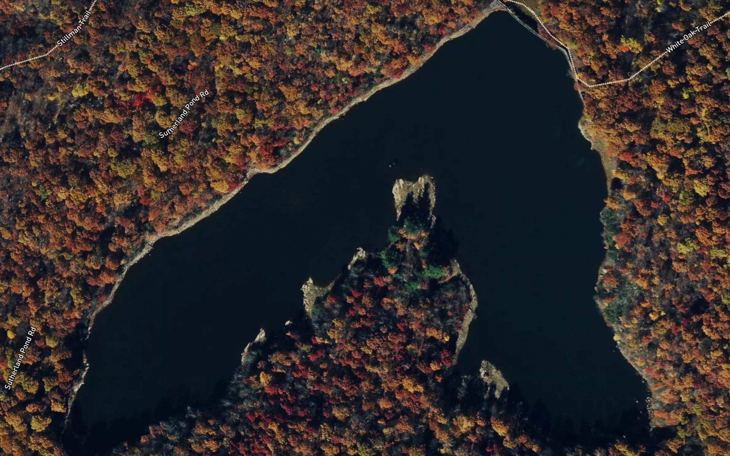 Sphagnum Pond