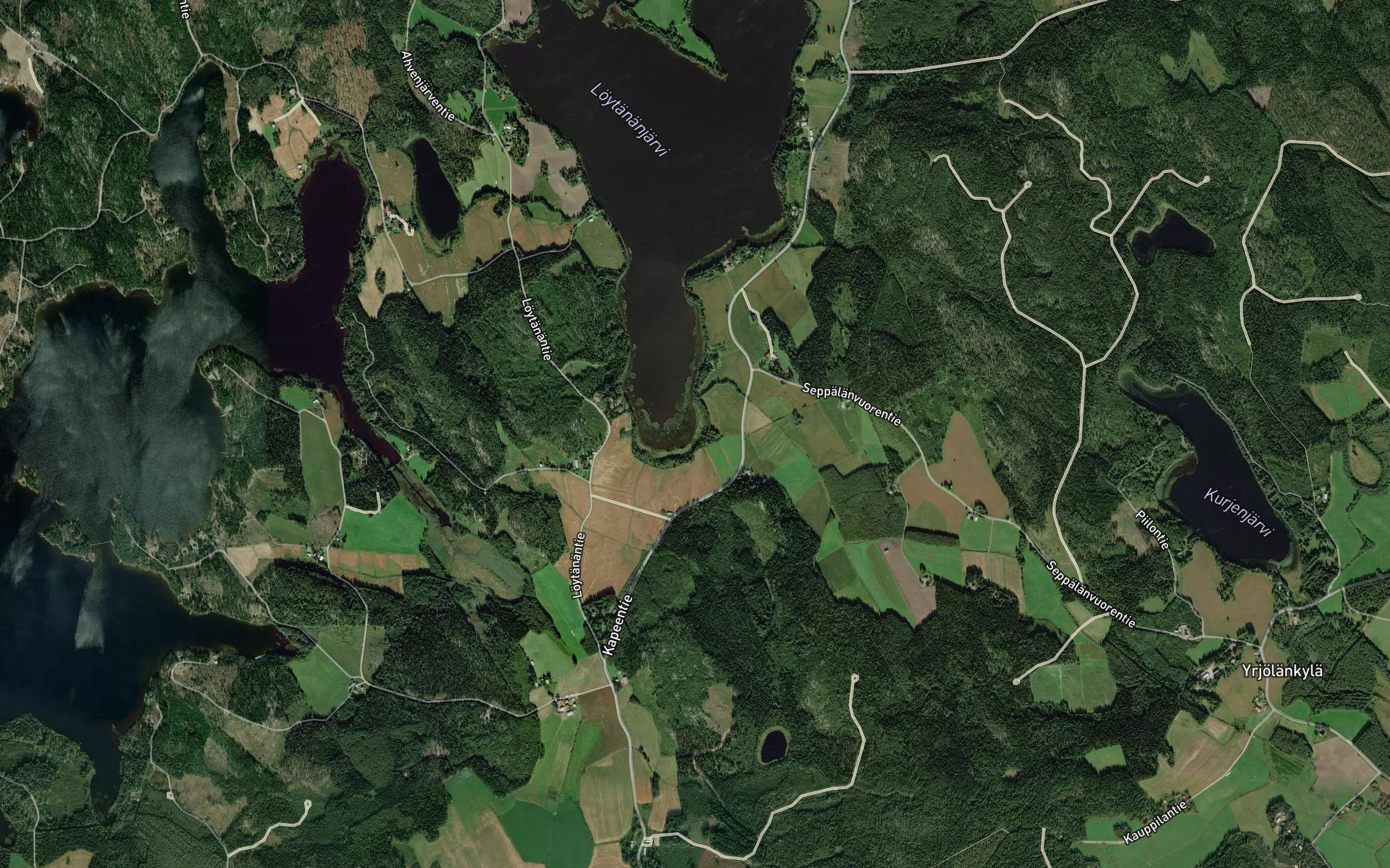 Iilamminoja