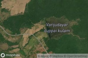 Variuddiyariluppai Kulam