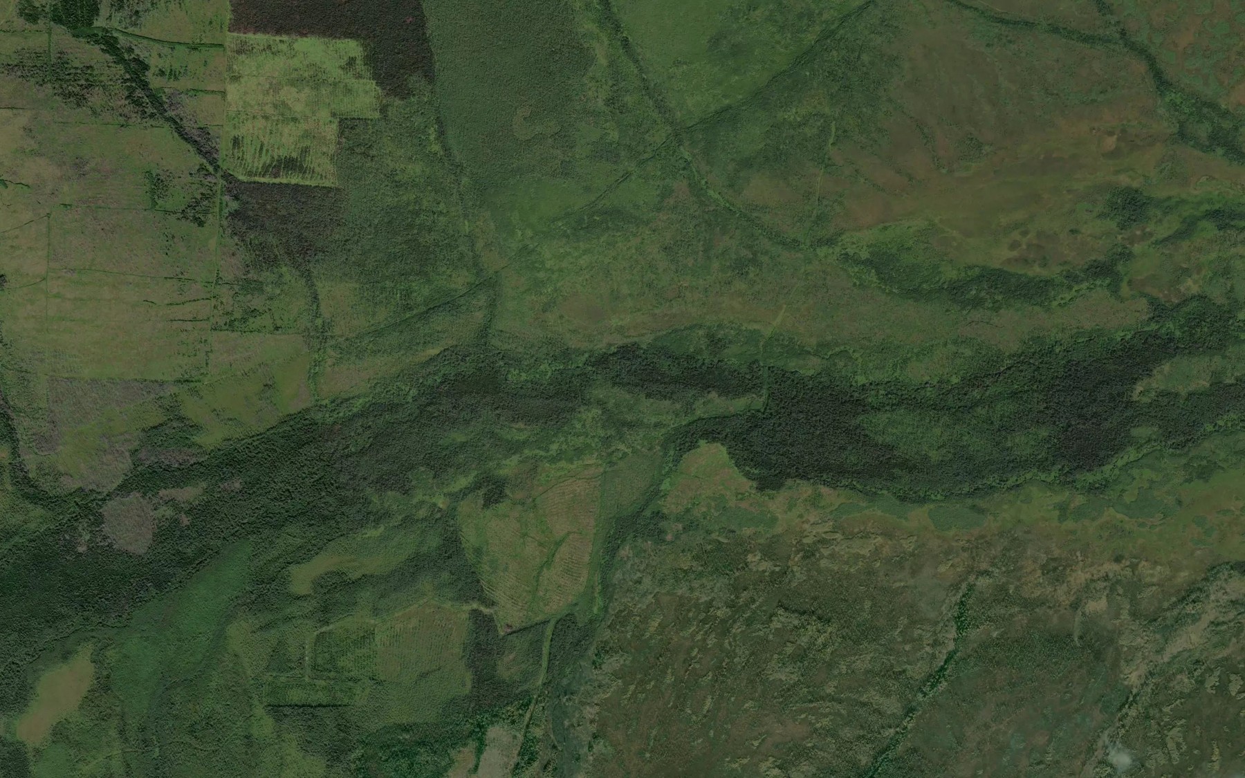 Satellite map of the Lesnoy