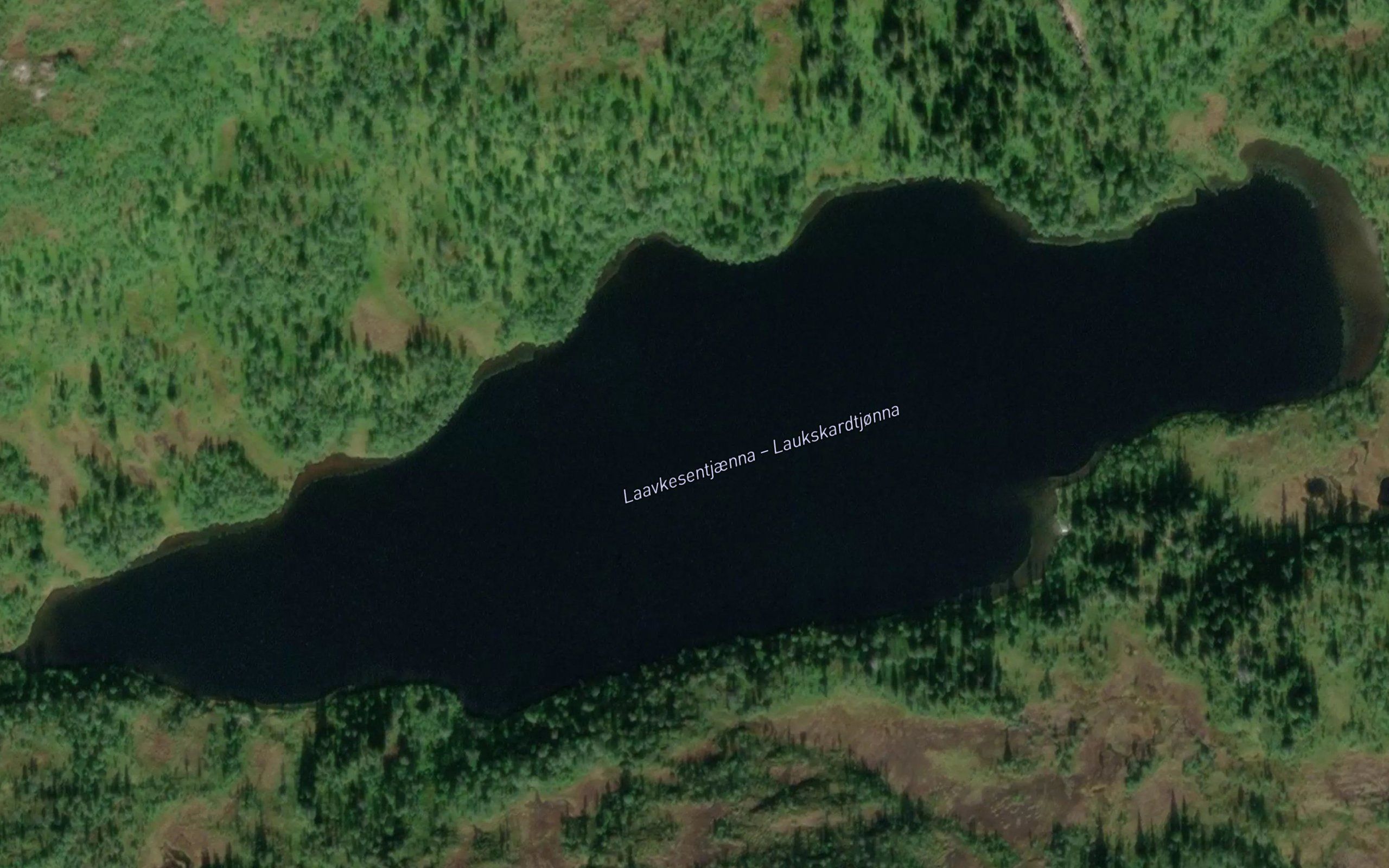 Laukskardtjorna