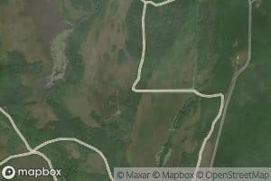 Middle Marsh
